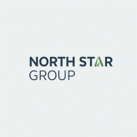 NORTH STAR GROUP logotipo dizainas